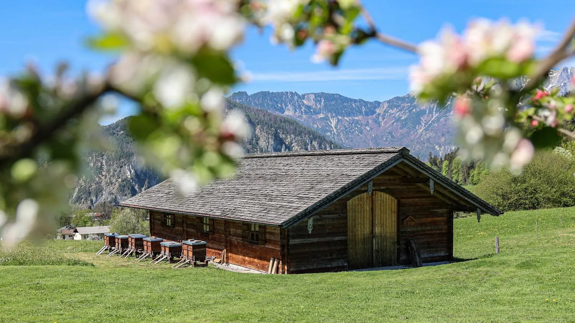 Appartement Antenbichllehen Ferienwohnungen Berchtesgaden